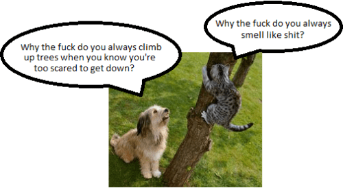 dog cat tree cartoon